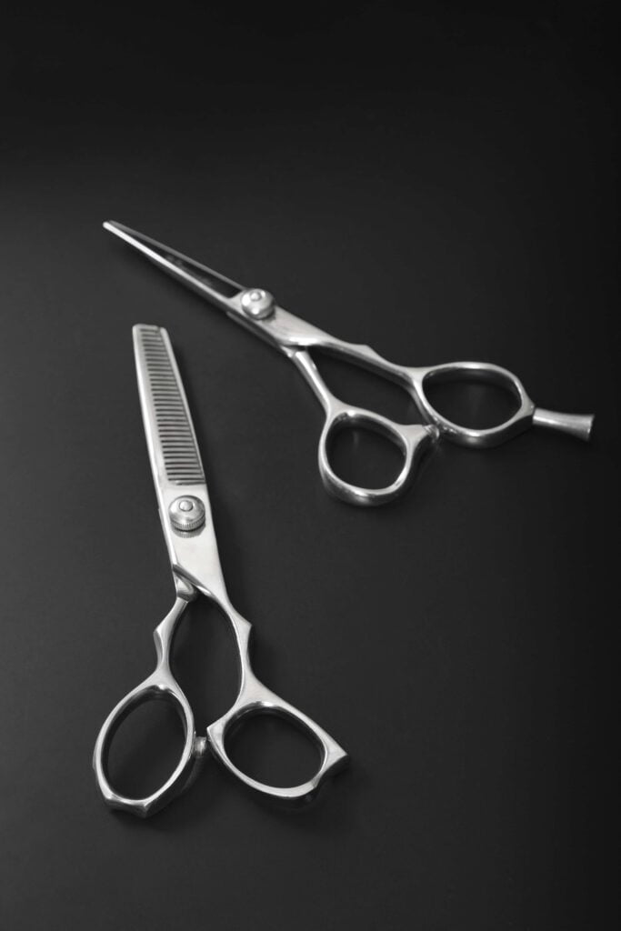 Stainless Steel Scissors