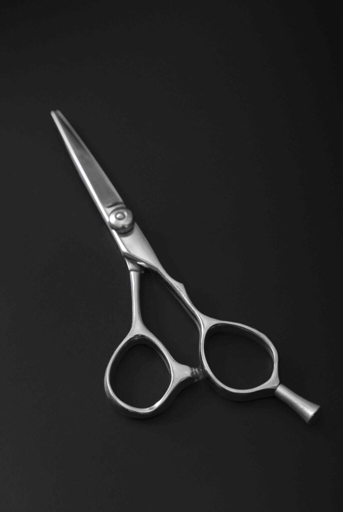 Stainless Steel Scissors 2024